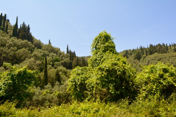 Corfu Century Resort